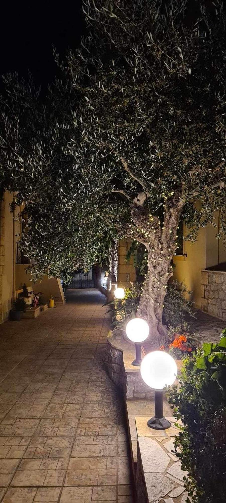 Finikes Apartments 斯陶帕 外观 照片